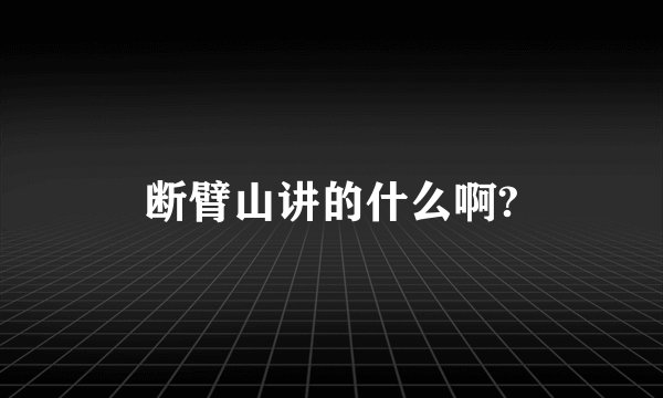 断臂山讲的什么啊?