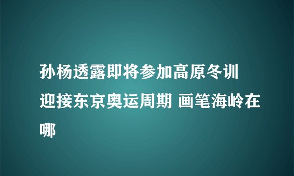孙杨透露即将参加高原冬训 迎接东京奥运周期 画笔海岭在哪