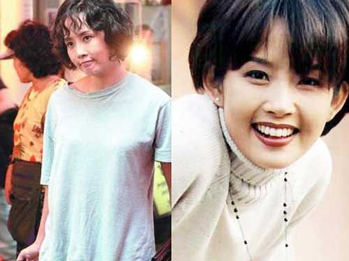 玫瑰人生的剧情简介