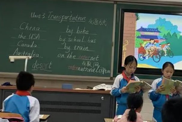 vanness是什么意思