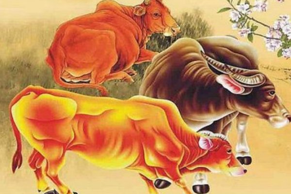 红口白牙猜一生肖