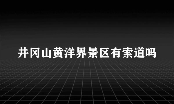 井冈山黄洋界景区有索道吗