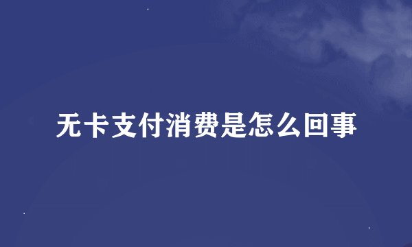 无卡支付消费是怎么回事