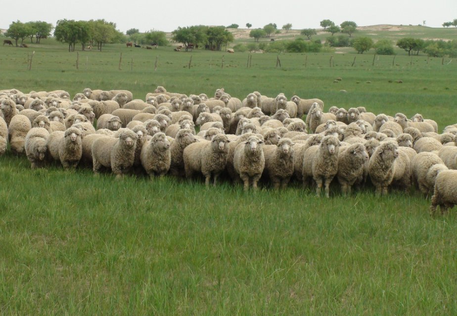 不值一谈的意思