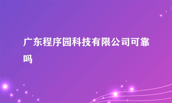 广东程序园科技有限公司可靠吗