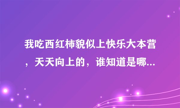 我吃西红柿貌似上快乐大本营，天天向上的，谁知道是哪一期？？？