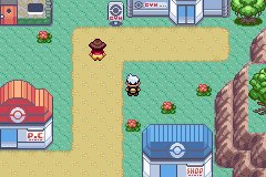 gba口袋妖怪蓝宝石攻略. 要详细!要全中文的!