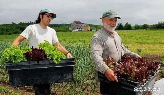 新西兰打工的真实收入是多少？