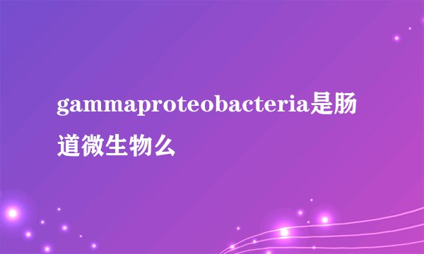 gammaproteobacteria是肠道微生物么