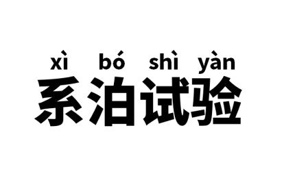 系泊试验是什么意思