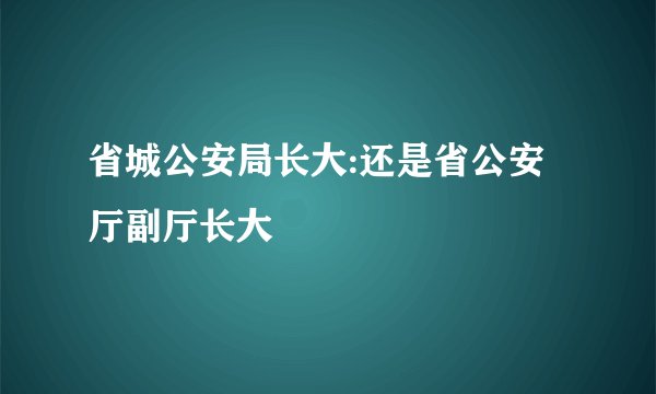 省城公安局长大:还是省公安厅副厅长大
