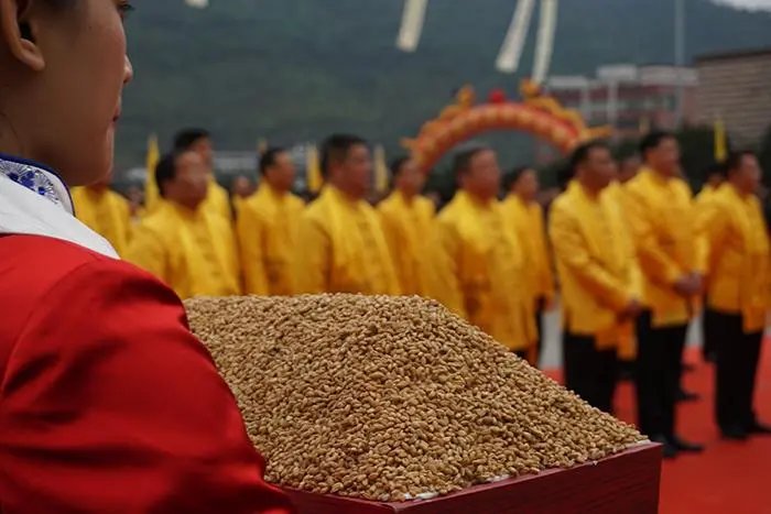 茅台端午大典所祭祀的是? 高粱