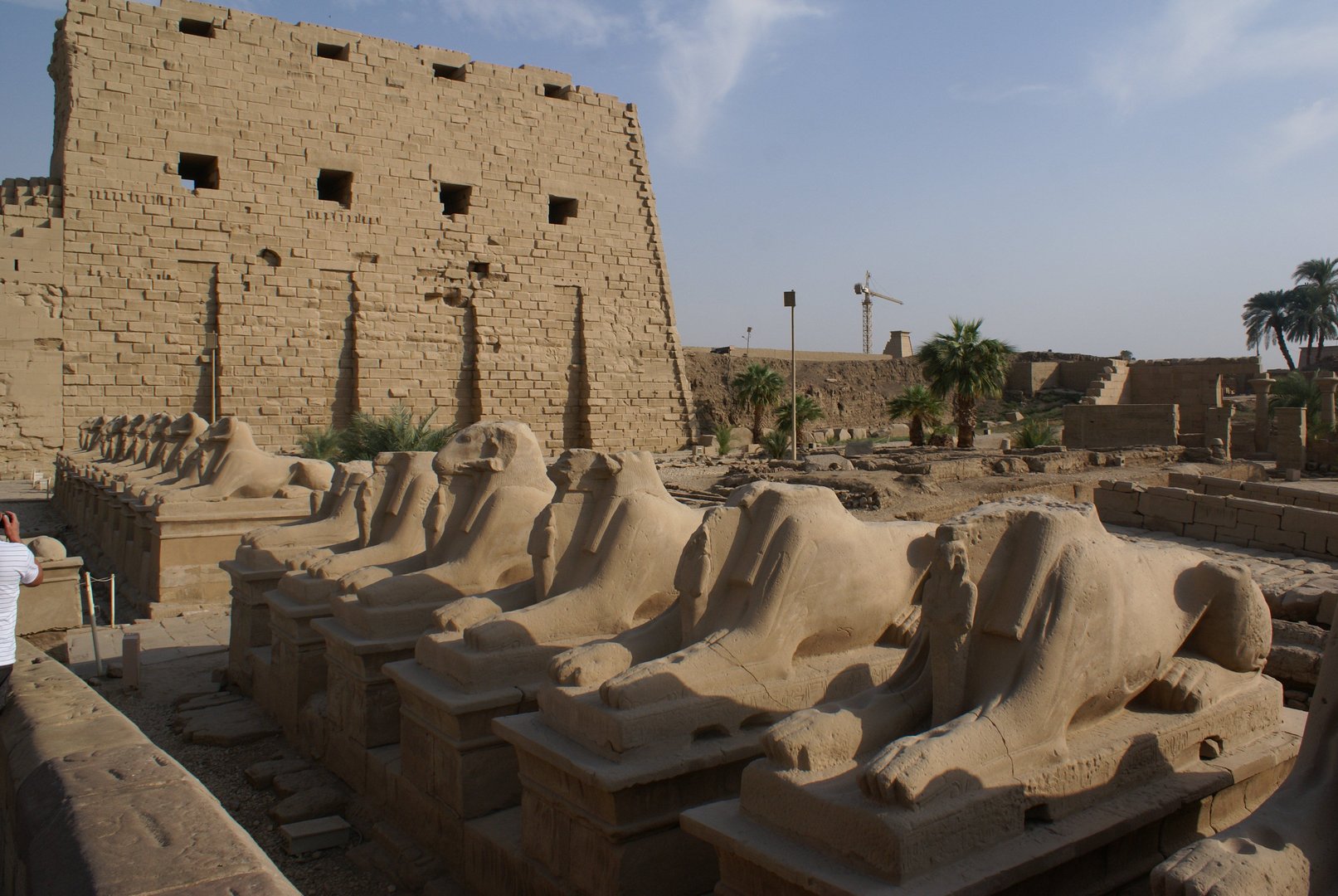 无神庙的女人的介绍