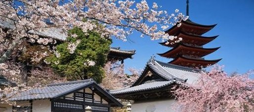 日本人重名的概率高不高呢？