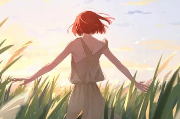 心之所向什么意思