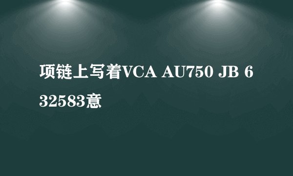 项链上写着VCA AU750 JB 632583意