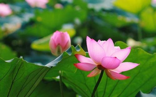 怎样评价照片拍的好不好？