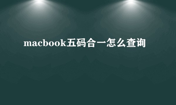 macbook五码合一怎么查询
