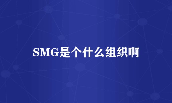 SMG是个什么组织啊