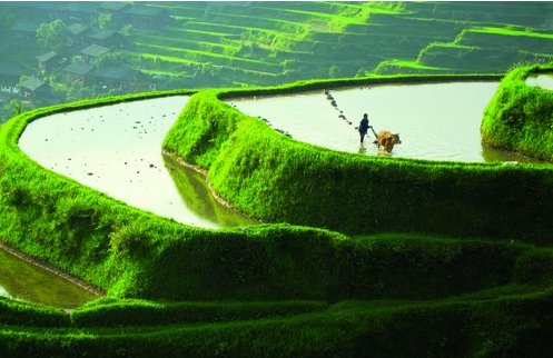 20世纪中国获得无毒国美誉近30年是什么年代到什么年代