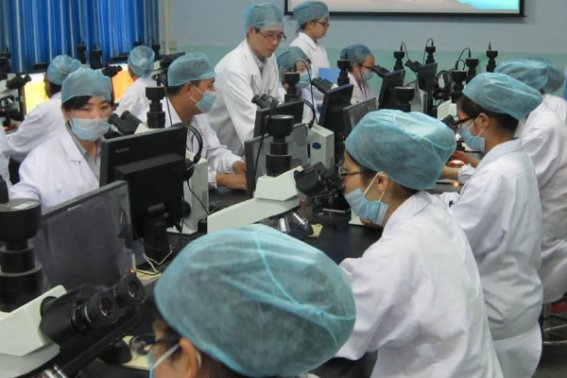 护理本科可以跨考哪些研究生专业?