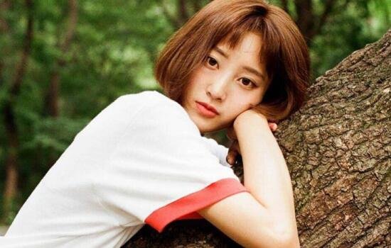 怕什么真理无穷，进一寸有一寸的欢喜。下一句