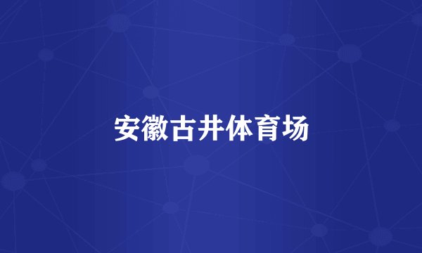 安徽古井体育场