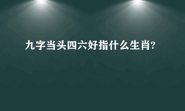 九字当头四六好指什么生肖?