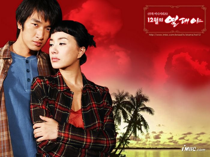 12月的热带夜的剧情简介