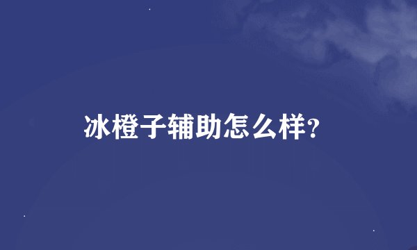冰橙子辅助怎么样？