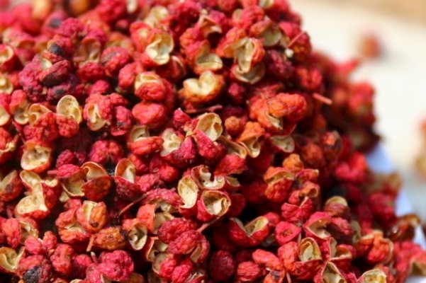 1月10日蚂蚁庄园答案是什么