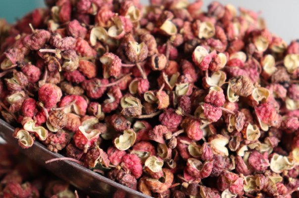 1月10日蚂蚁庄园答案是什么