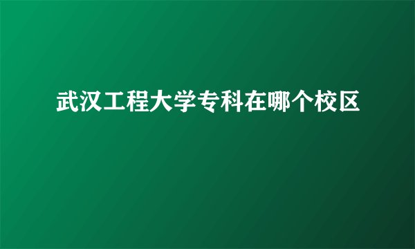 武汉工程大学专科在哪个校区