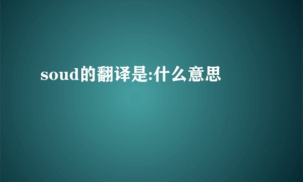 soud的翻译是:什么意思