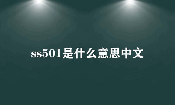 ss501是什么意思中文