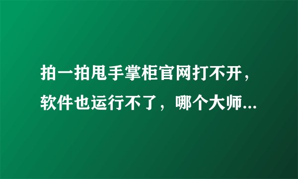 拍一拍甩手掌柜官网打不开，软件也运行不了，哪个大师告诉我下什么原因啊...帮帮忙啊...QQ：498961273