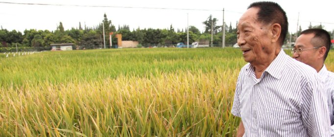 袁隆平是湖南什么地方的人？