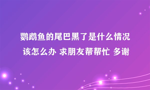 鹦鹉鱼的尾巴黑了是什么情况 该怎么办 求朋友帮帮忙 多谢