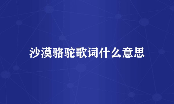 沙漠骆驼歌词什么意思
