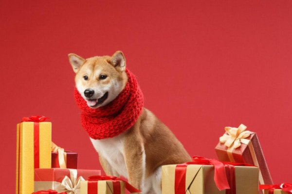 十二生肖的岁数表