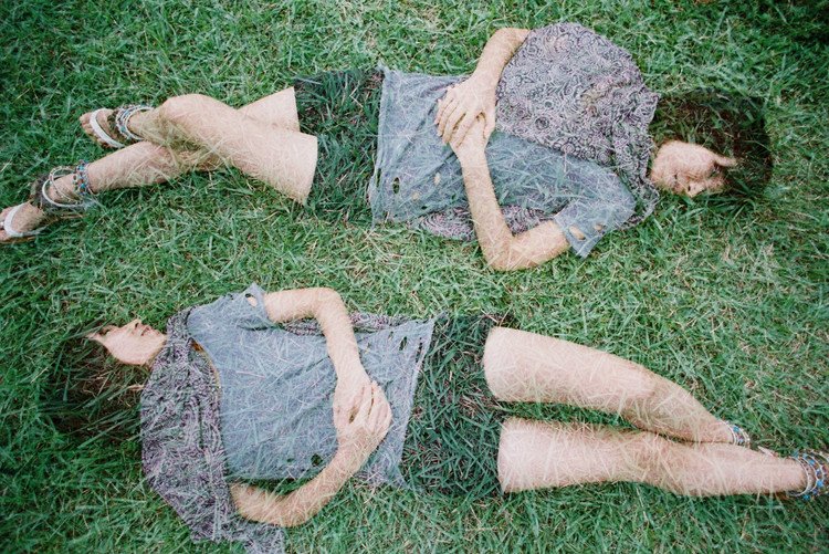 双生水莽的介绍