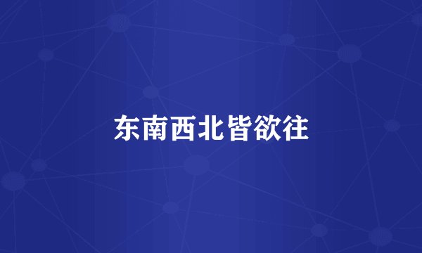 东南西北皆欲往