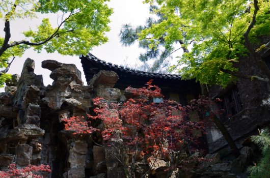 个园最著名的景物是什么