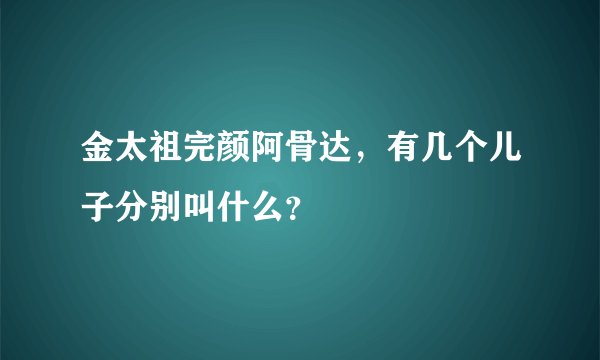 金太祖完颜阿骨达，有几个儿子分别叫什么？