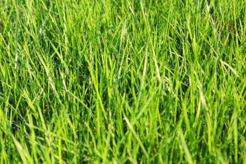 “今夕何夕，芳草蓠蓠，明月夜送君千里，等来年秋风起”是什么意思？