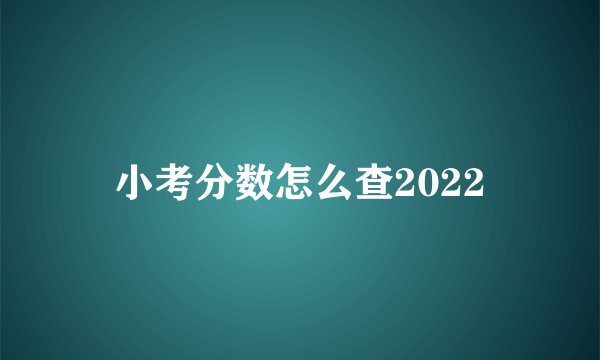 小考分数怎么查2022
