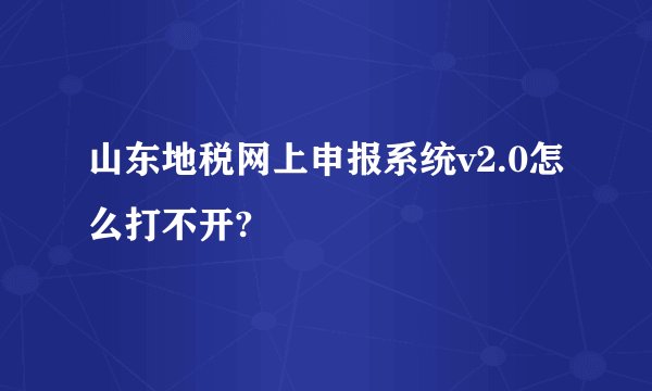 山东地税网上申报系统v2.0怎么打不开?