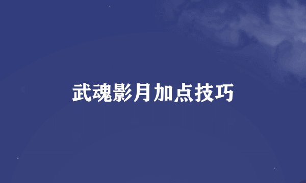 武魂影月加点技巧