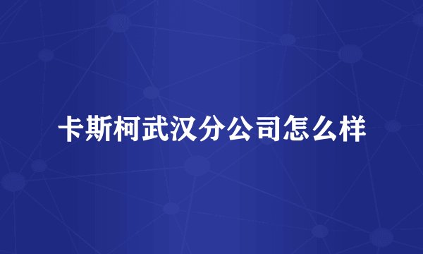卡斯柯武汉分公司怎么样