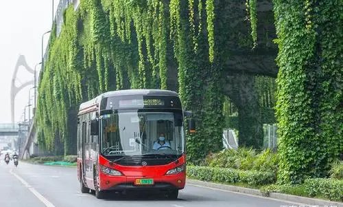 公交车一个接着一个c白月